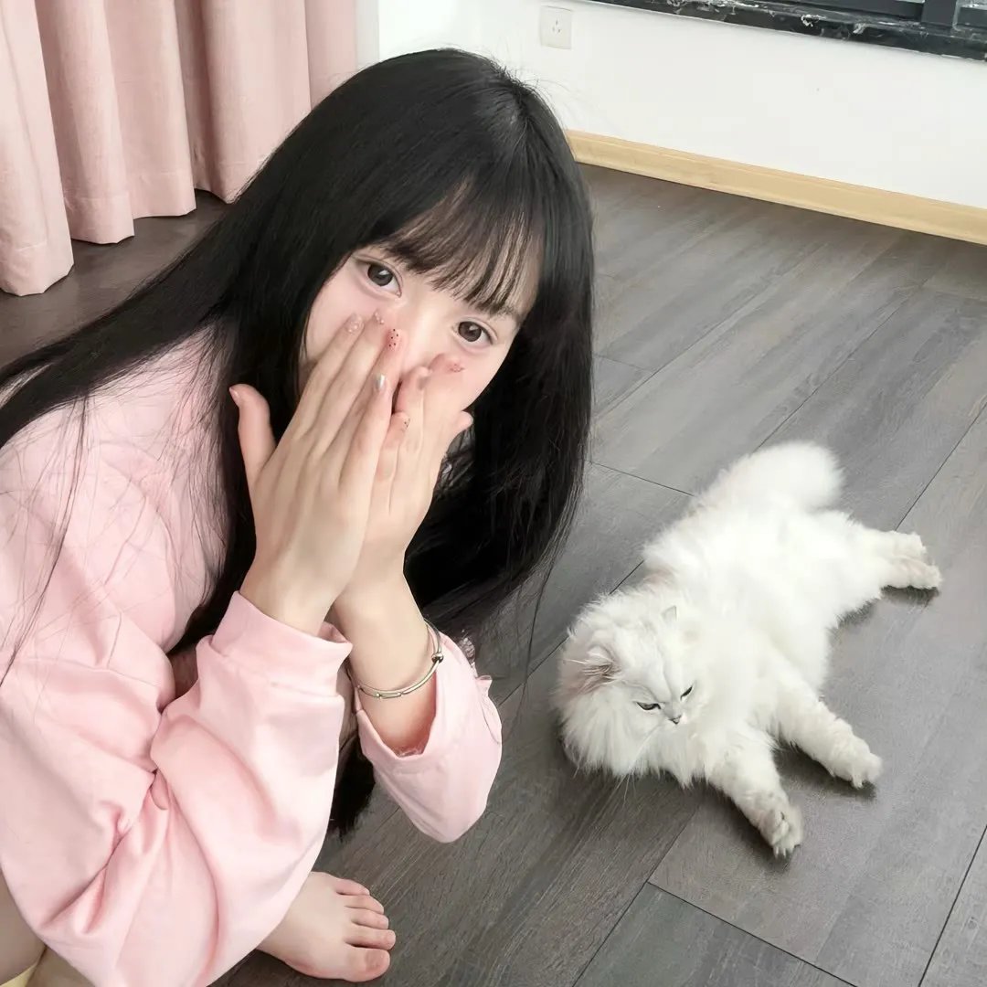 明月守护者